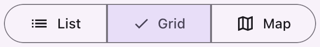 A toggle button whose options carry icons, with the selected one showing a check