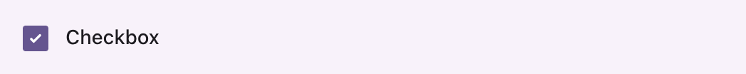 A checked checkbox with its label