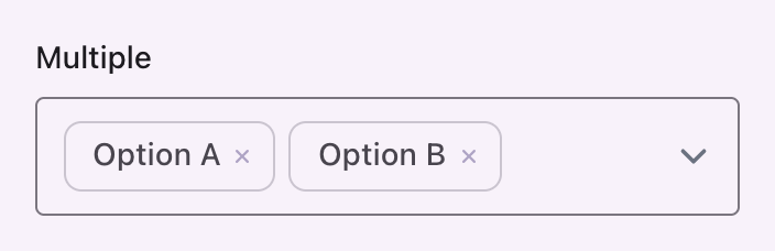 A multiple select with two chosen values shown as badges